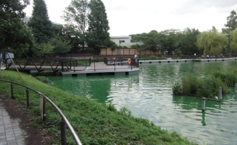 東京都 上野公園 不忍池