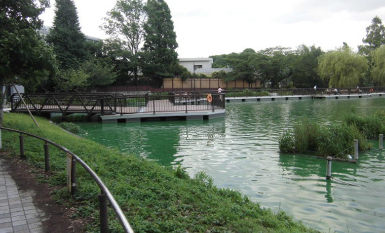 東京都 上野公園 不忍池